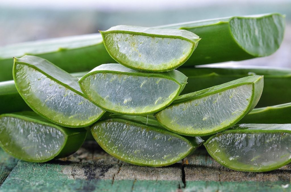 Aloe Vera kousky narezane Greek market